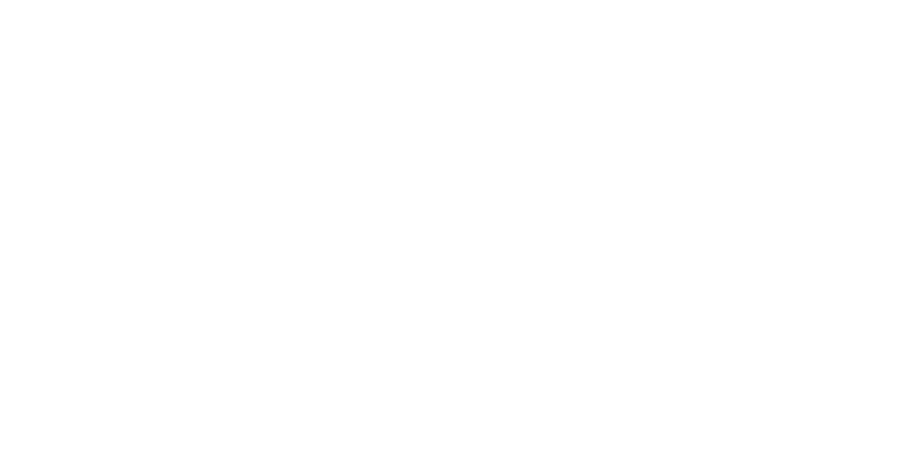 BauPlan logo